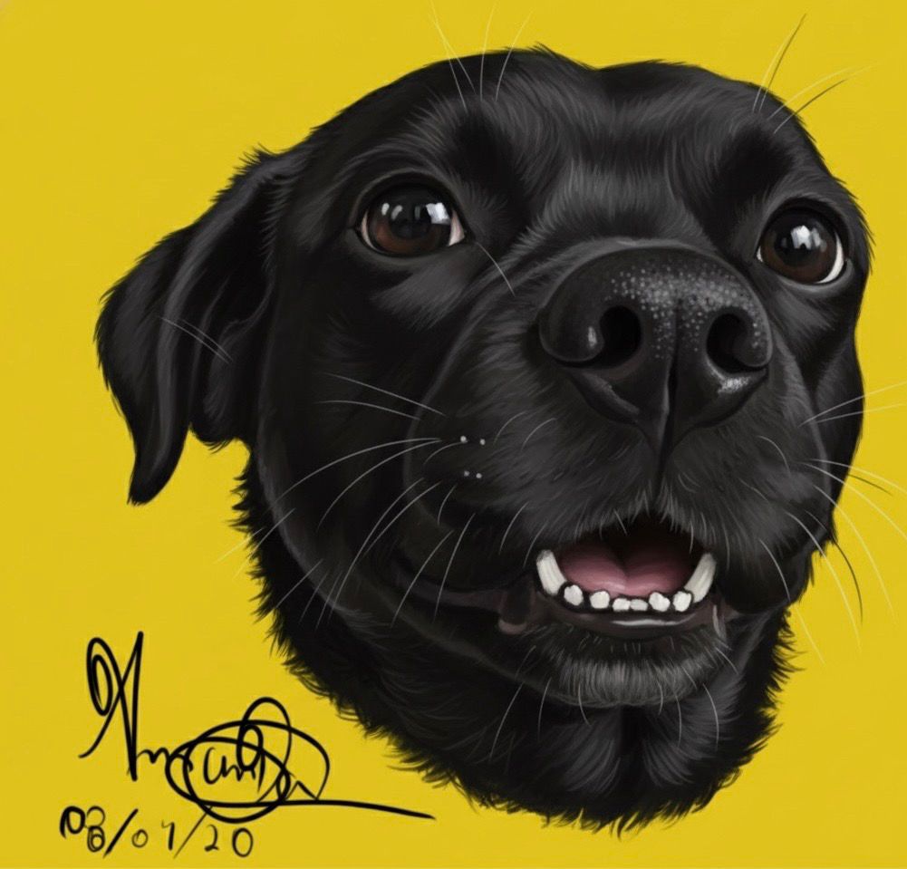 Tequila - Ilustração Digital